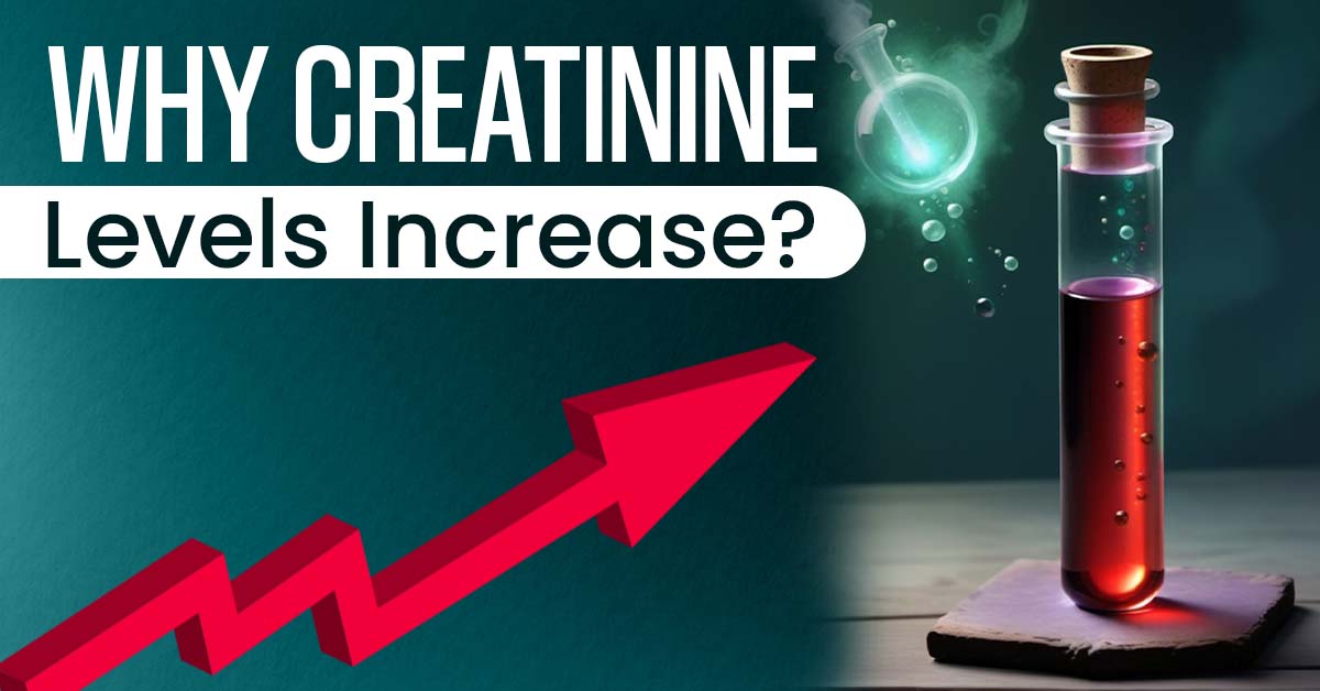 Why Creatinine Levels Increase?
